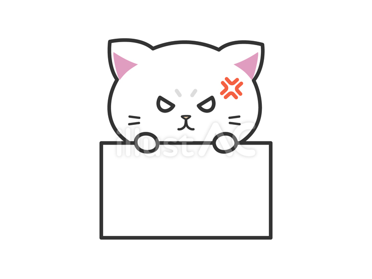 ボードを持って怒る白い子猫 猫,怒る,ボードのイラスト素材