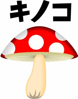 キノコ　 キノコ,コミカル,デフォルメ,立体,カタカナ,赤のイラスト素材