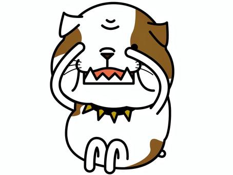 ブルちゃん チラ見 チラ見,覗き見,ブルドッグ,恐る恐る,キャラクター,犬,首輪,トゲ,動物,哺乳類のイラスト素材