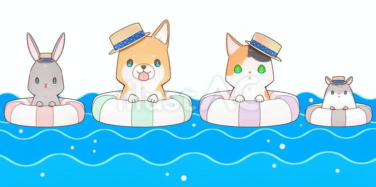 浮き輪でぷかぷかどうぶつ　麦わら帽子 動物,犬,猫のイラスト素材