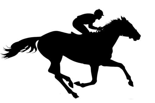 競馬の騎手のシルエット 競馬,騎手,馬,サラブレッド,疾走,シルエット,スポーツ,勝負,賭け事,ギャンブルのイラスト素材
