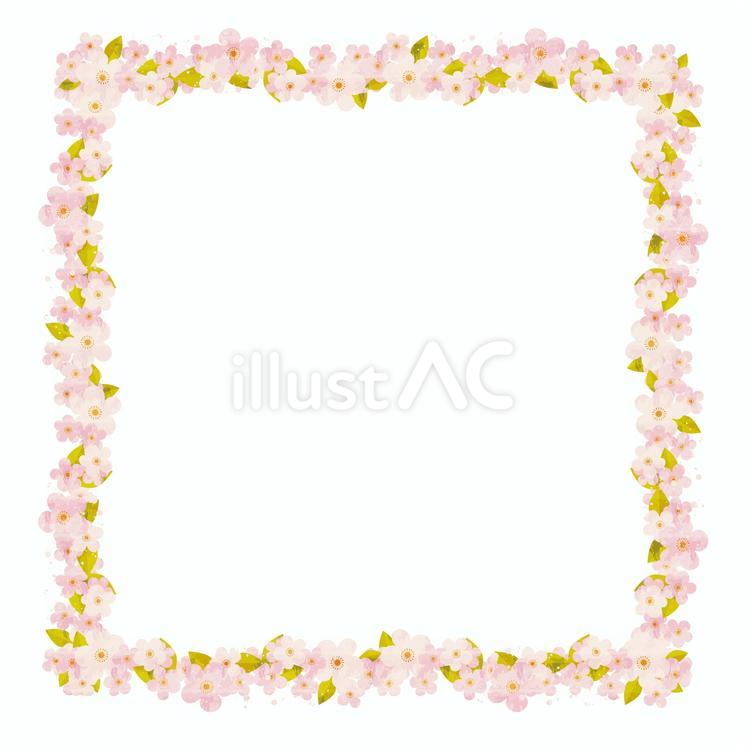 春の桜　フレーム 桜,花,春のイラスト素材