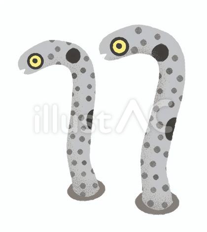 チンアナゴ兄弟