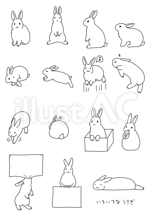 いろいろなうさぎ うさぎ,動物,かわいいのイラスト素材