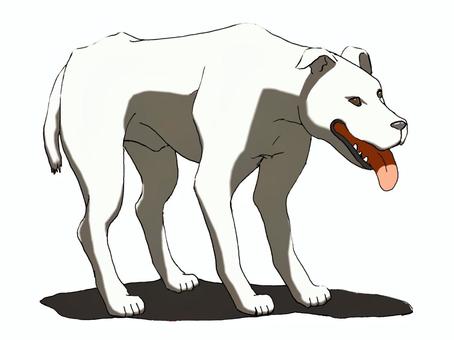 炎天・犬 炎天下,犬,陽射し,猛暑,渇き,熱,疲弊,酷暑,温暖化,気候変動のイラスト素材