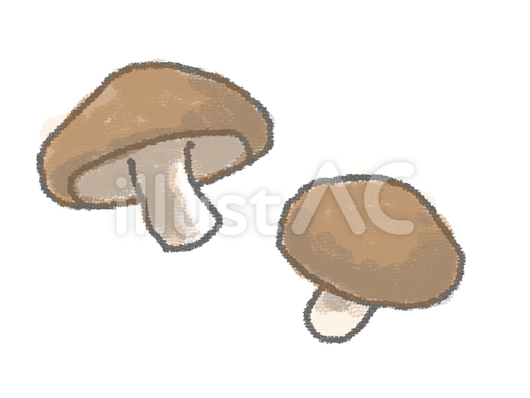 しいたけ 椎茸,出汁,乾燥のイラスト素材