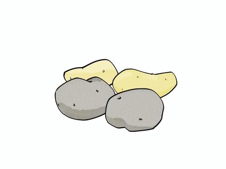 じゃがいも じゃがいも,植物,食べ物,炭水化物,栽培のイラスト素材
