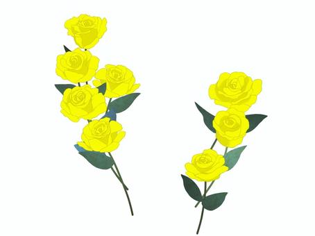 黃薔薇の装飾 バラ,花,植物,葉,装飾,黄色のイラスト素材