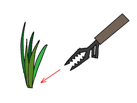 Illustration, जंगली घास, घास, रंगमंच की सामग्री, 