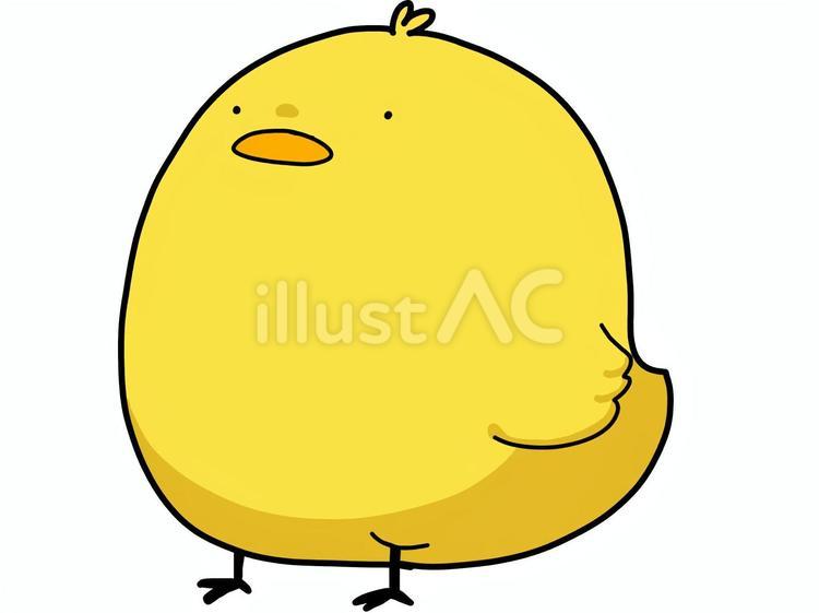 丸めのひよこ ひよこ,かわいい,丸いのイラスト素材