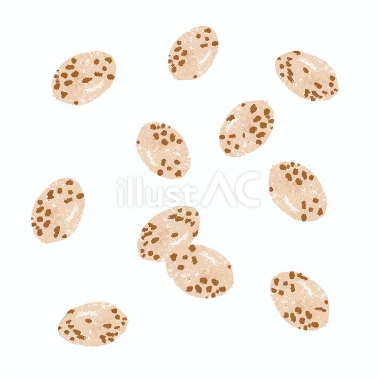 うずら豆 うずら豆,シンプル,かわいいのイラスト素材