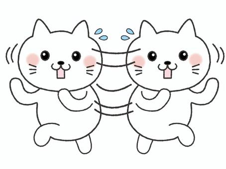 あたふたする猫　2 猫,あたふた,慌てるのイラスト素材