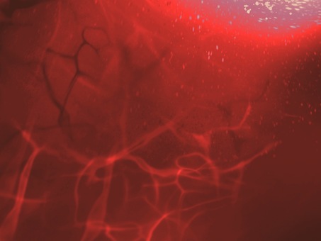 彗光の軌跡_レッド07 背景,抽象,光,レッド,エネルギー,情熱,宇宙,赤,輝き,グラデーションのイラスト素材