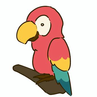 木に止まるオウム 木,オウム,かわいい,動物,生き物,カラフル,鳥のイラスト素材