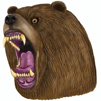 リアルなヒグマの頭部 ヒグマ,熊,エゾヒグマ,猛獣,獣,凶暴,野生動物,危険生物,アニマル,動物のイラスト素材