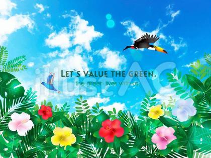 南国の景色 ハイビスカスと鳥