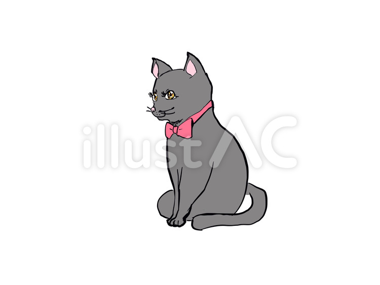 黒猫 猫,子猫,ペットのイラスト素材