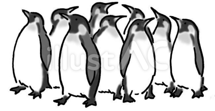 ペンギンの群れ 南極,団結,モノクロのイラスト素材