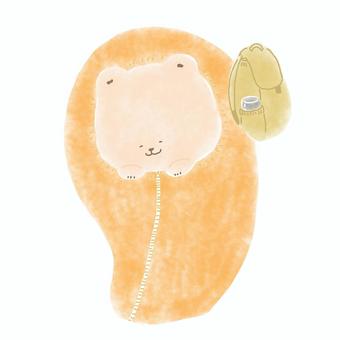 Illustration, sleeping bag, sleep, bear, 