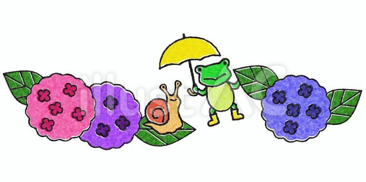 カエルとカタツムリとアジサイ３ 紫陽花,カエル,カタツムリのイラスト素材