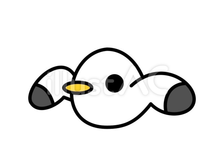 カモメさん　黒 かもめ,鳥,動物のイラスト素材
