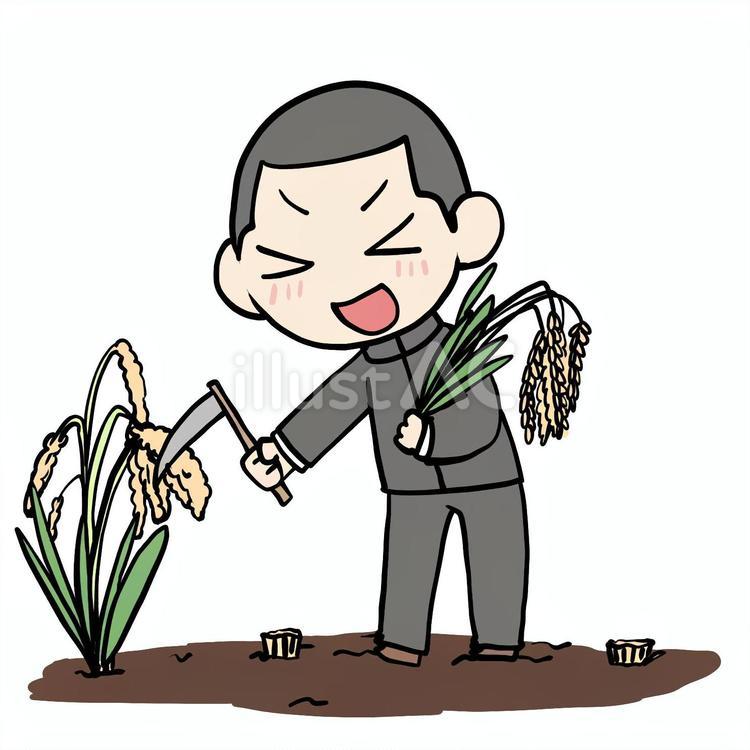 稲刈りする喜ぶ学生少年 学生,稲刈り,喜ぶのイラスト素材