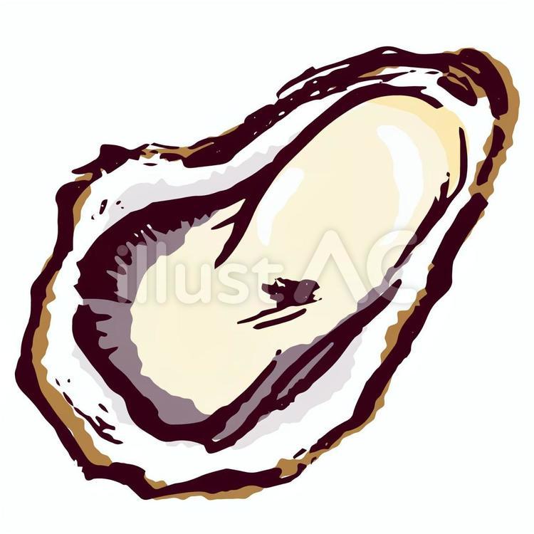 牡蠣 牡蠣,かき,貝のイラスト素材