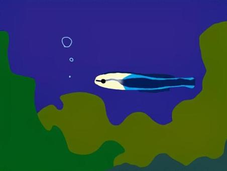 Illustration, рыбы, сузуки глаз, семья вера, 