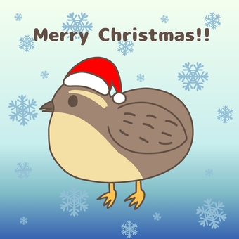 クリスマス サンタの帽子をかぶったうずら クリスマス サンタの帽子をかぶったうずら クリスマス,うずら,鳥,帽子,雪の結晶,文字入り,手書き,かわいい,冬のイラスト素材