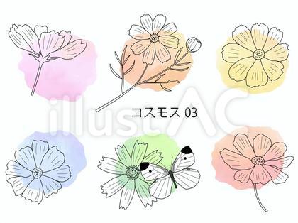 四季の植物素材17(秋桜と蝶)
