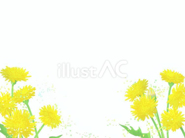 手描きたんぽぽフレーム フレーム,植物,花のイラスト素材