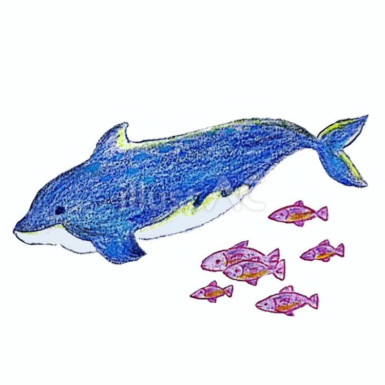夏 イルカ 魚イラスト 無料イラストなら イラストac 夏 イルカ 魚イラスト 無料イラストなら イラストac
