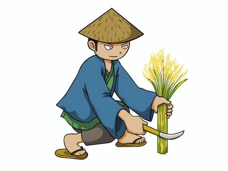 戦国時代のお百姓さん【稲刈り】 百姓,戦国時代,江戸時代,稲刈り,収穫,秋,稲作,刈り入れ,取り入れ,根刈りのイラスト素材