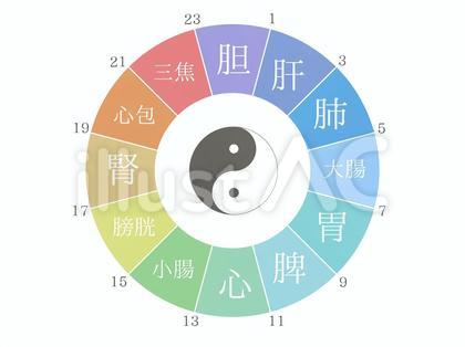 子午流注 中医学 東洋医学 太極図