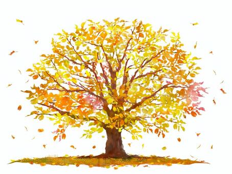 リンゴの木のイラスト落葉 木,樹木,林檎,リンゴ,秋,植物,落葉,紅葉,落葉樹,広葉樹のイラスト素材