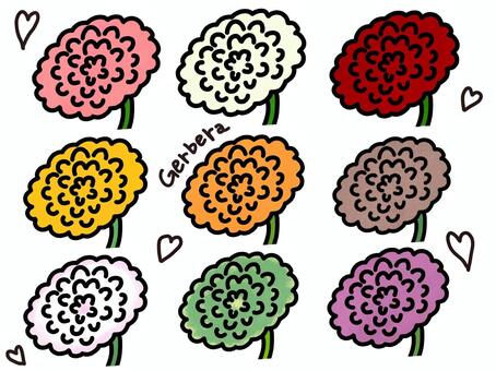 カラフルなガーベラの手描きイラストセット ガーベラ,花,植物,カラフル,セット,素材,手描き,挿し絵,ピンク,ホワイトのイラスト素材