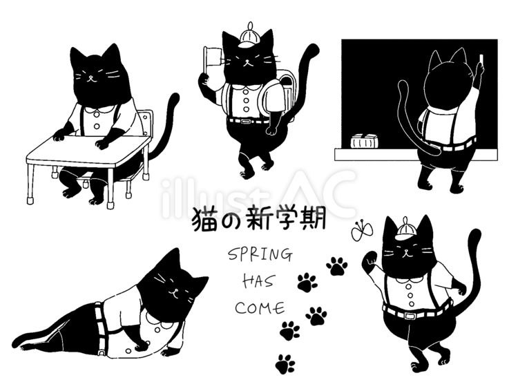 猫の新学期　白黒 猫,新学期,入学式のイラスト素材
