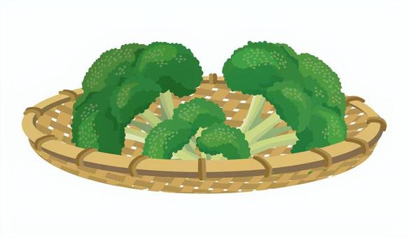 ザルに入ったブロッコリー2 ブロッコリー,野菜,食べ物,食材,栄養,新鮮,植物,八百屋,家庭菜園,畑のイラスト素材