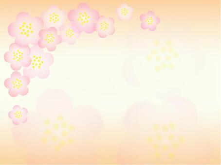 梅のフレーム_大きい花_2 梅,花,植物,かわいい,きれい,フレームのイラスト素材