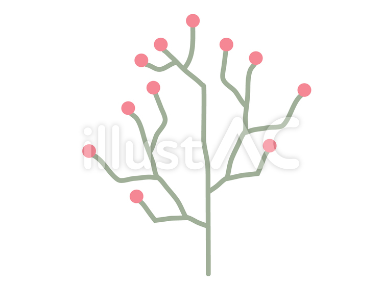 われもこう しょくぶつ,植物,緑のイラスト素材