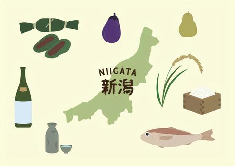 新潟イラストセット 新潟,日本酒,米,稲穂,ノドグロ,笹団子,ルレクチェ,十全茄子,地図,ご当地のイラスト素材