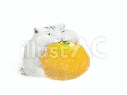 ハムスターみかん