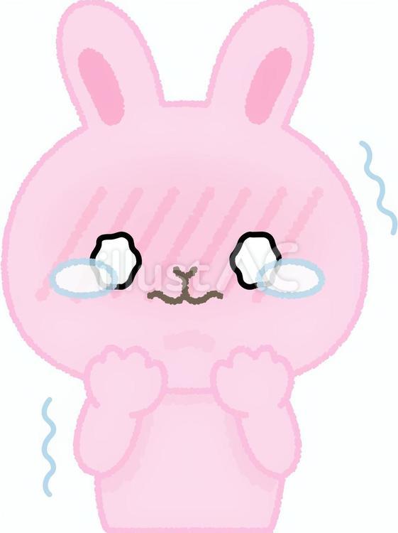 うさぎ涙目 ウサギ,涙目,震えるのイラスト素材