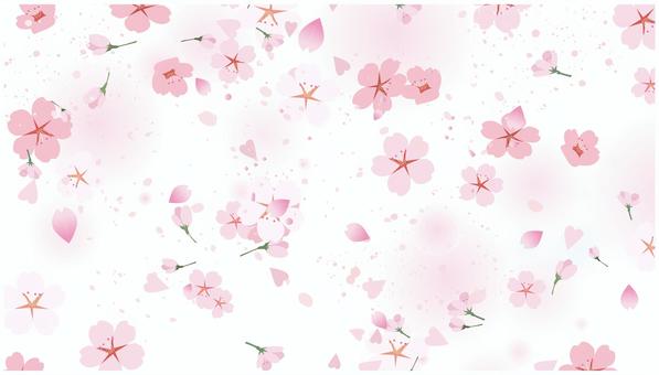 春の桜吹雪風景 春,桜,花,植物,背景,花びら,4月,日本,中華,東洋のイラスト素材