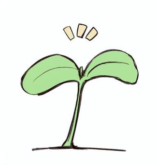 芽生え 芽生え,双葉,発芽,葉っぱ,植物,緑,成長のイラスト素材