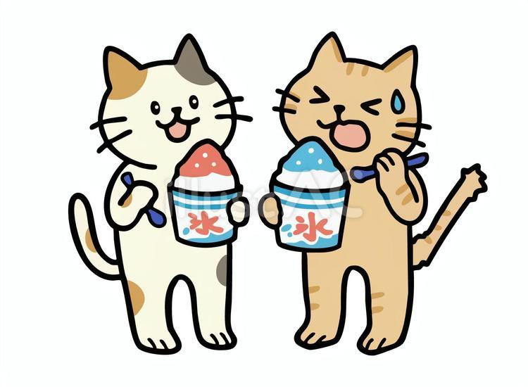 かき氷を食べるミケネコとシマトラ猫 猫,夏,かき氷のイラスト素材