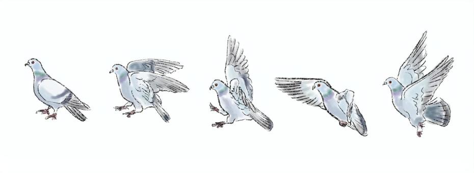 Illustration, dove, pigeons, dobat, 