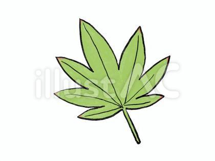 青紅葉