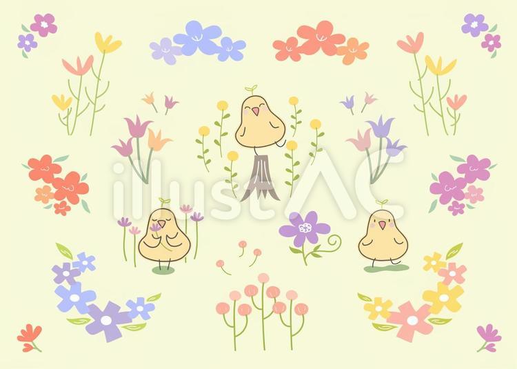 花とピヨ鳥A 花,花びら,草花のイラスト素材