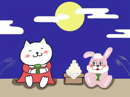 White cat and rabbit looking at the moon, , JPG